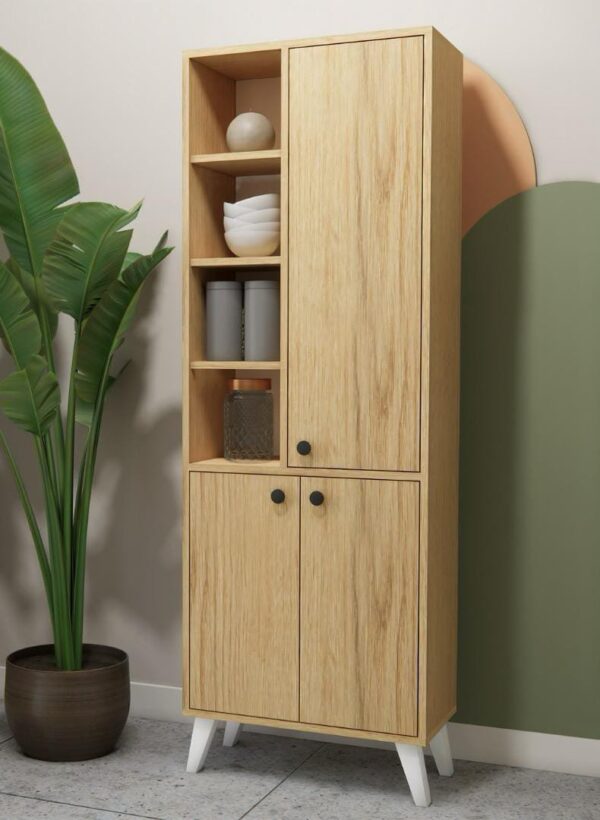 Modern Cabinet