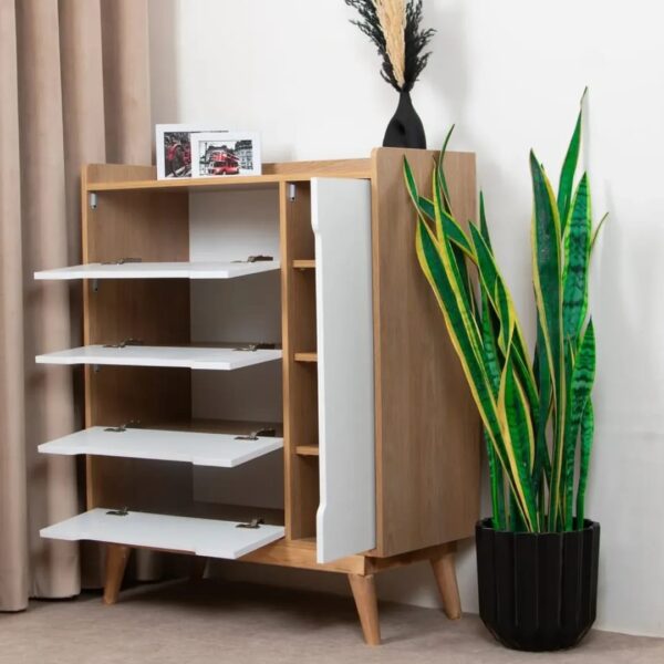 Stacey Modern Shoe Rack Cabinet